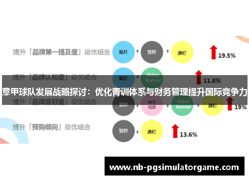 意甲球队发展战略探讨：优化青训体系与财务管理提升国际竞争力