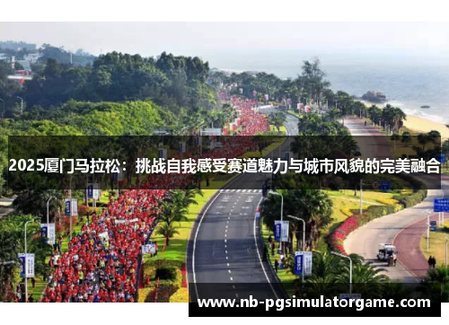 2025厦门马拉松：挑战自我感受赛道魅力与城市风貌的完美融合