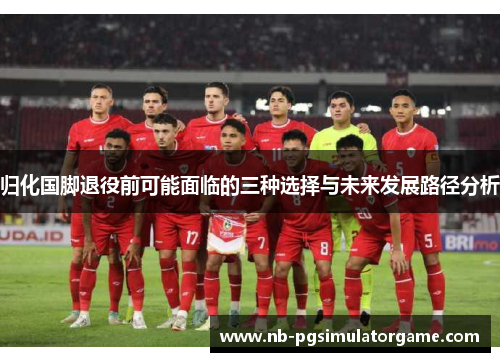 归化国脚退役前可能面临的三种选择与未来发展路径分析