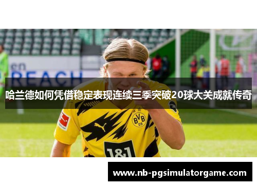 哈兰德如何凭借稳定表现连续三季突破20球大关成就传奇