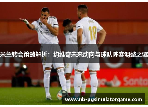 米兰转会策略解析：约维奇未来动向与球队阵容调整之谜