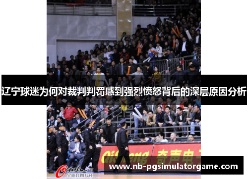 辽宁球迷为何对裁判判罚感到强烈愤怒背后的深层原因分析