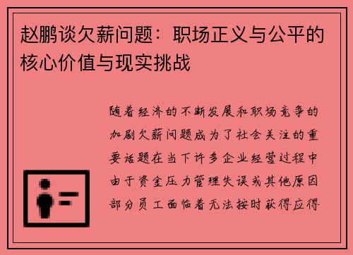 赵鹏谈欠薪问题：职场正义与公平的核心价值与现实挑战
