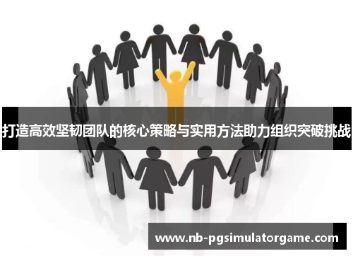 打造高效坚韧团队的核心策略与实用方法助力组织突破挑战