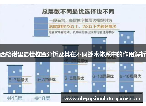 西格诺里最佳位置分析及其在不同战术体系中的作用解析